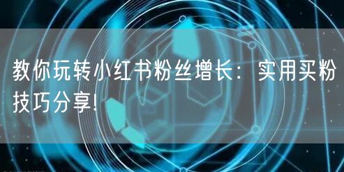 教你玩转小红书粉丝增长：实用买粉技巧分享!