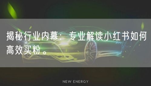 揭秘行业内幕：专业解读小红书如何高效买粉。