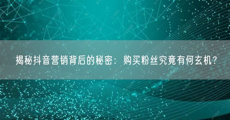 揭秘抖音营销背后的秘密：购买粉丝究竟有何玄机？