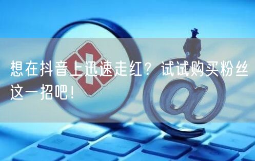 想在抖音上迅速走红？试试购买粉丝这一招吧！