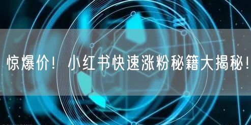 惊爆价！小红书快速涨粉秘籍大揭秘！