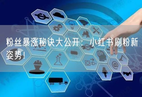 粉丝暴涨秘诀大公开：小红书刷粉新姿势！