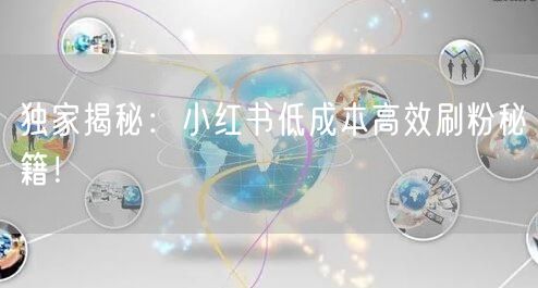 独家揭秘：小红书低成本高效刷粉秘籍！
