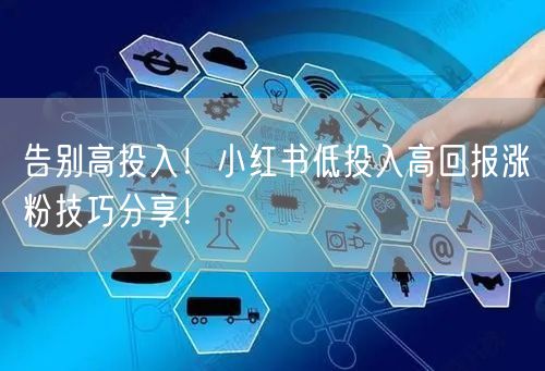 告别高投入！小红书低投入高回报涨粉技巧分享！