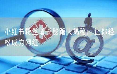 小红书粉丝增长秘籍大揭秘，让你轻松成为网红！
