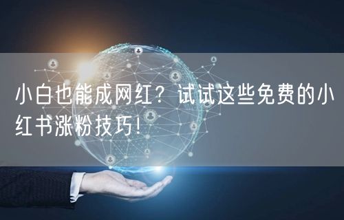 小白也能成网红？试试这些免费的小红书涨粉技巧！