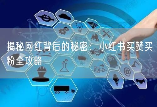 揭秘网红背后的秘密：小红书买赞买粉全攻略