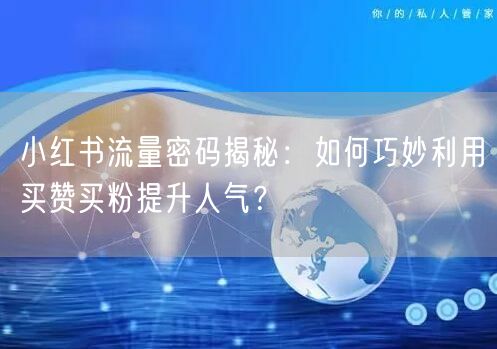 小红书流量密码揭秘：如何巧妙利用买赞买粉提升人气？