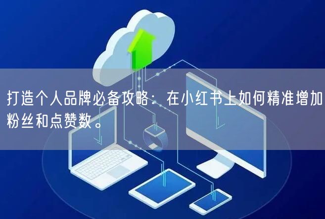 打造个人品牌必备攻略：在小红书上如何精准增加粉丝和点赞数。
