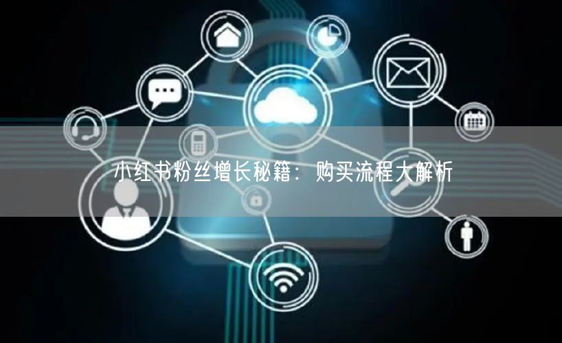 小红书粉丝增长秘籍：购买流程大解析
