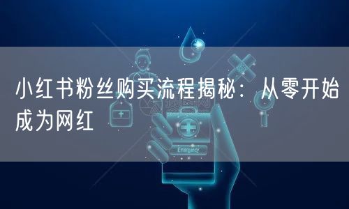 小红书粉丝购买流程揭秘：从零开始成为网红