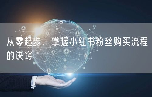 从零起步，掌握小红书粉丝购买流程的诀窍