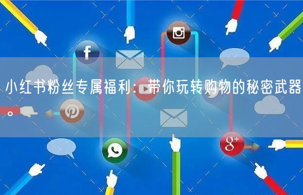 小红书粉丝专属福利：带你玩转购物的秘密武器。