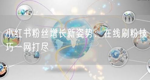 小红书粉丝增长新姿势：在线刷粉技巧一网打尽