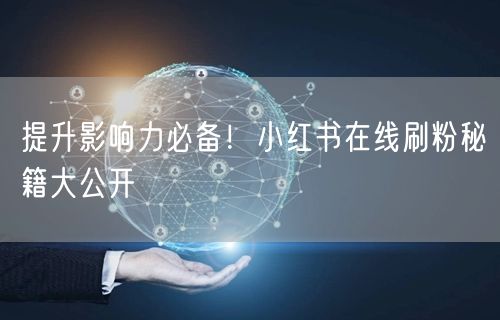 提升影响力必备！小红书在线刷粉秘籍大公开