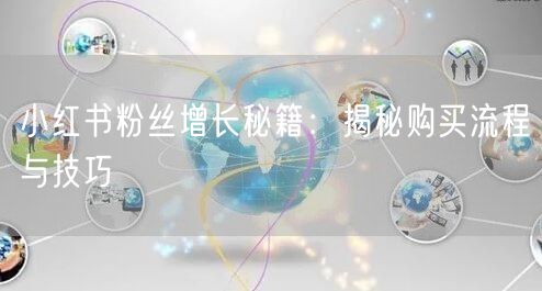 小红书粉丝增长秘籍：揭秘购买流程与技巧