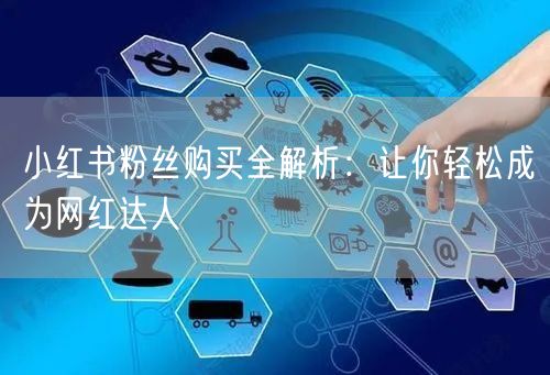 小红书粉丝购买全解析：让你轻松成为网红达人