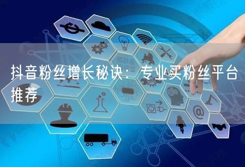 抖音粉丝增长秘诀：专业买粉丝平台推荐