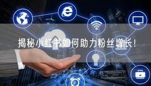 揭秘小红书如何助力粉丝增长！
