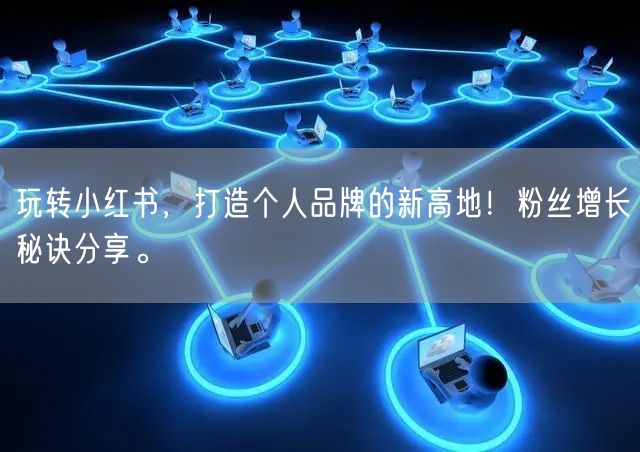 玩转小红书，打造个人品牌的新高地！粉丝增长秘诀分享。