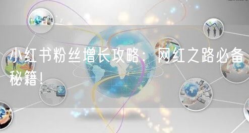 小红书粉丝增长攻略：网红之路必备秘籍！