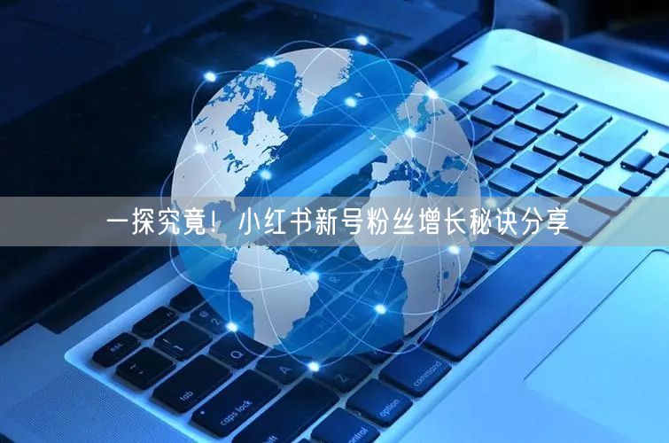 一探究竟！小红书新号粉丝增长秘诀分享