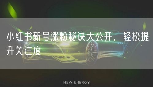 小红书新号涨粉秘诀大公开，轻松提升关注度