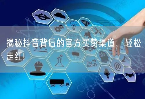 揭秘抖音背后的官方买赞渠道，轻松走红!