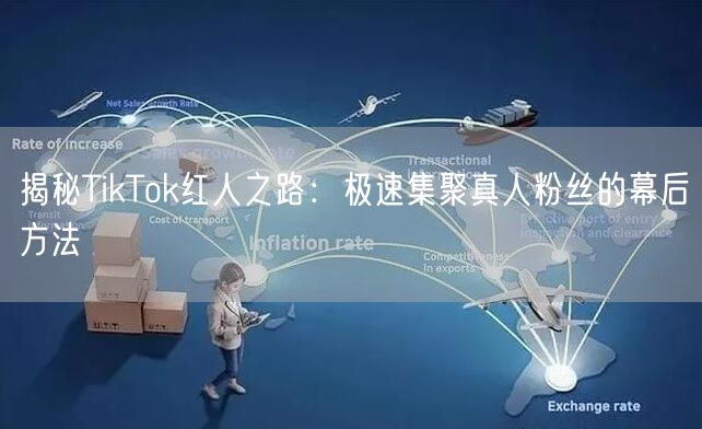 揭秘TikTok红人之路：极速集聚真人粉丝的幕后方法