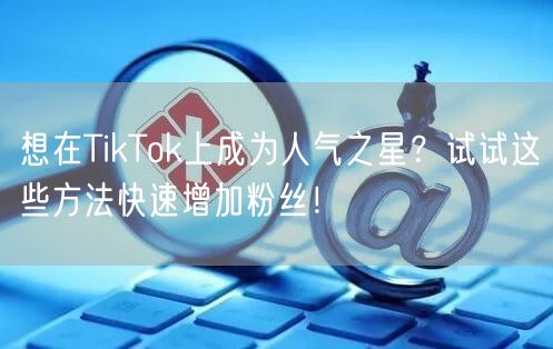 想在TikTok上成为人气之星？试试这些方法快速增加粉丝！